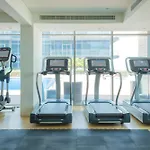 Saadiyat Serene Studio